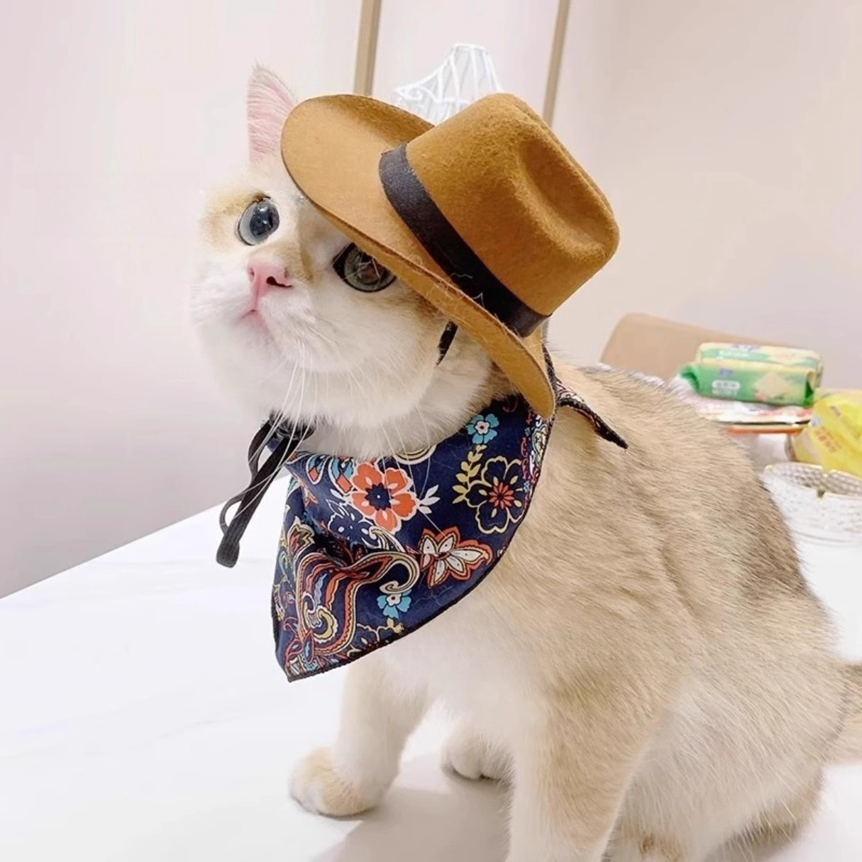  Cat Cowboy Hat Pet Head Acce - Cowboy Hat Straw ulasan dan harga